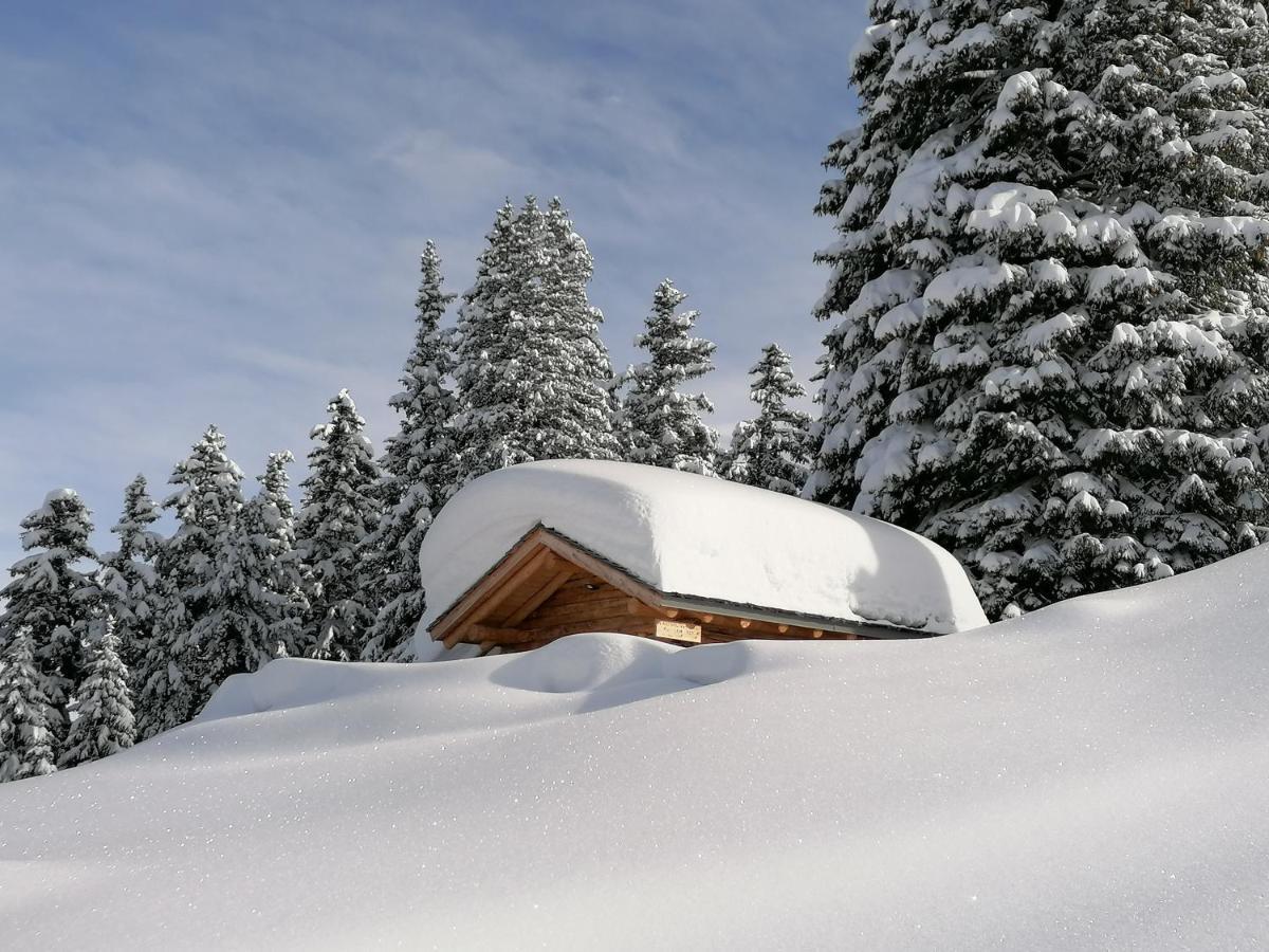 Dolomites B&B - Suites, Apartments And Spa Тезеро Екстер'єр фото