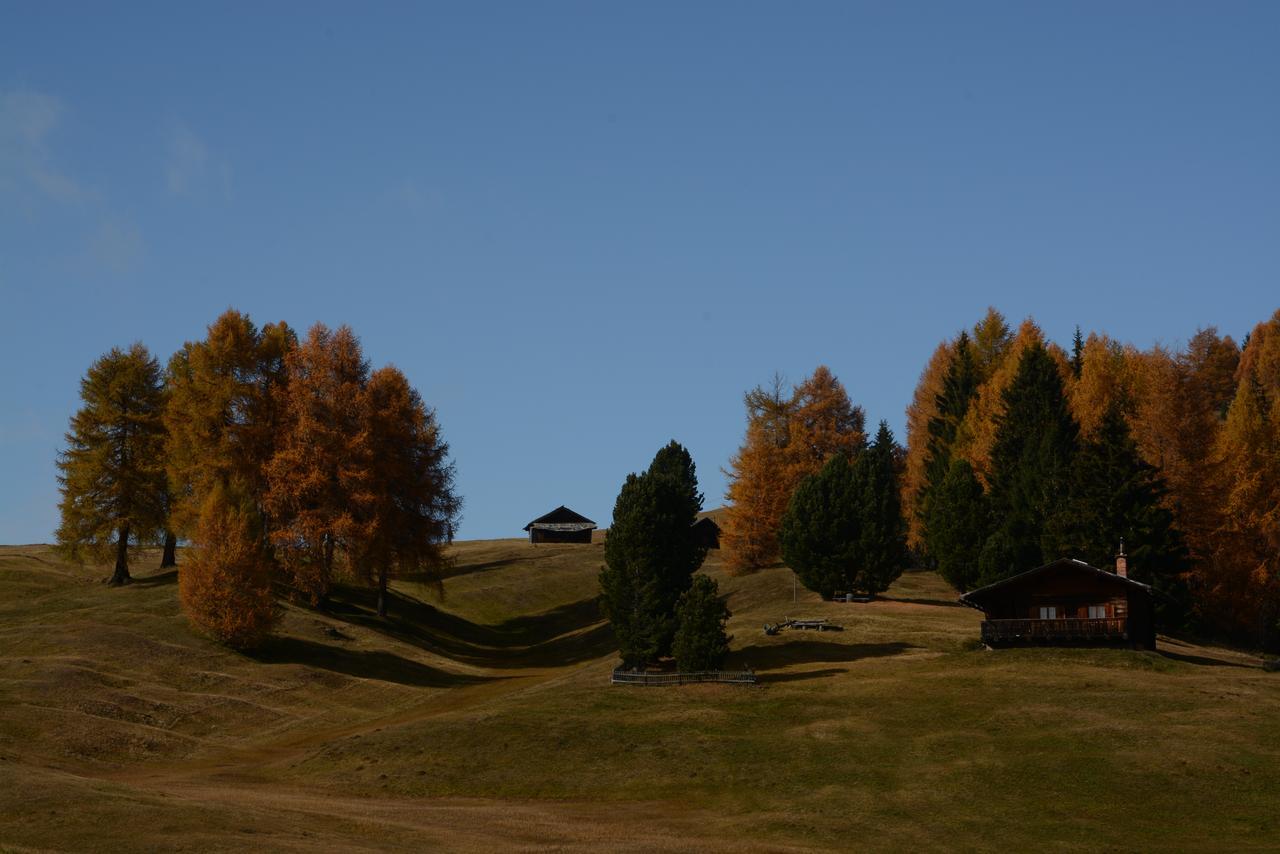 Dolomites B&B - Suites, Apartments And Spa Тезеро Екстер'єр фото